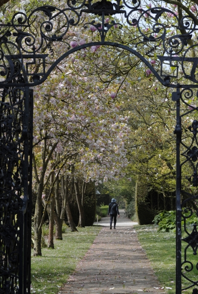 Newby Hall & Gardens